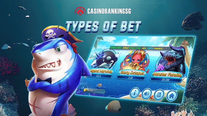 Types of Bets Available for Fish Shooting